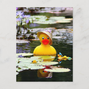 Rubber Ducky Postcard