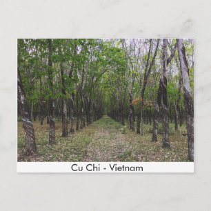 Rubber Forest - Cu Chi - Vietnam Postcard
