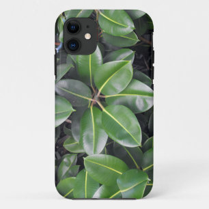 Rubber Tree Closeup iPhone 11 Case