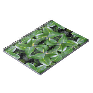 Rubber Tree Pattern Notebook