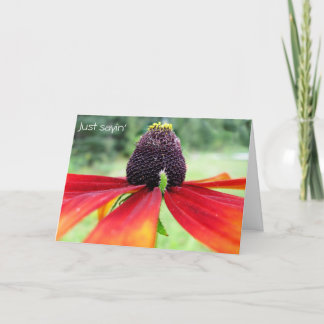Rubeckia, Just sayin' Card