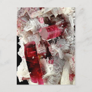 Rubellite Postcard