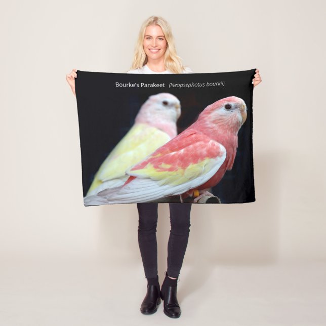 Rubino Bourke's Parakeet Fleece Blanket (In Situ)