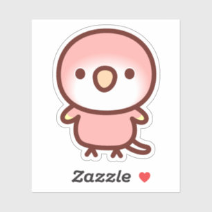 Rubino Bourke's parrot