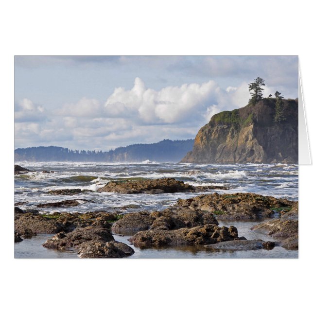 Ruby Beach on the Olympic Peninsula, Washington (Front Horizontal)