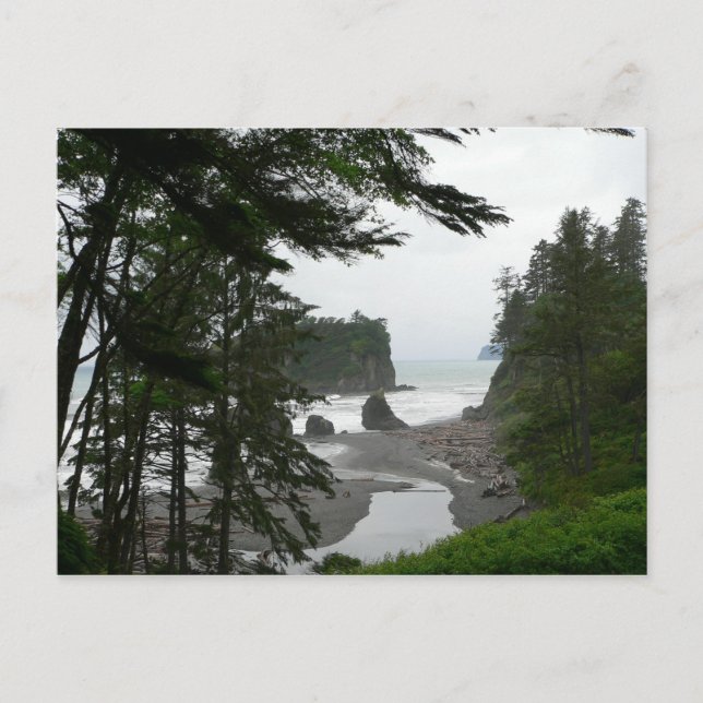 Ruby Beach Postcard (Front)