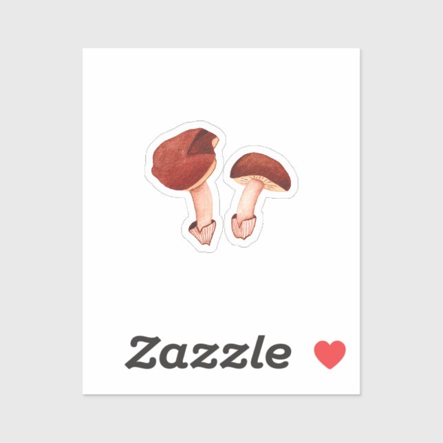 Ruby Bolete (Hortiboletus rubellus) (Sheet)