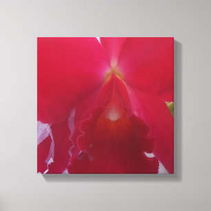 Ruby Canvas Print