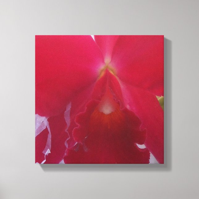 Ruby Canvas Print (Front)