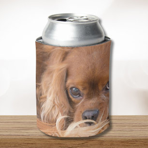Ruby Cavalier King Charles Spaniel Can Cooler