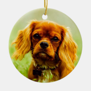 Ruby Cavalier King Charles Spaniel Dog Ceramic Tree Decoration