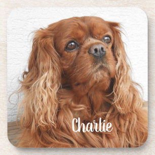 Ruby Cavalier King Charles Spaniel Dog Coaster