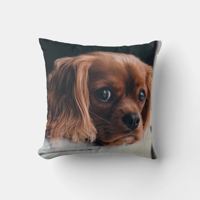 Ruby Cavalier King Charles Spaniel Dog Cushion (Front)