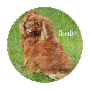 Ruby Cavalier King Charles Spaniel Dog Cutting Board