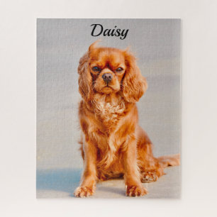 Ruby Cavalier King Charles Spaniel Dog Jigsaw Puzzle