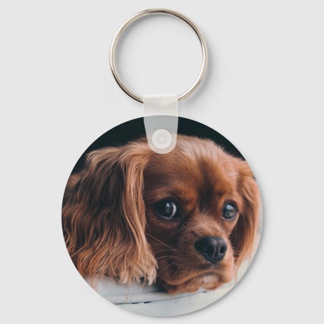 Ruby Cavalier King Charles Spaniel Dog Key Ring (Front)