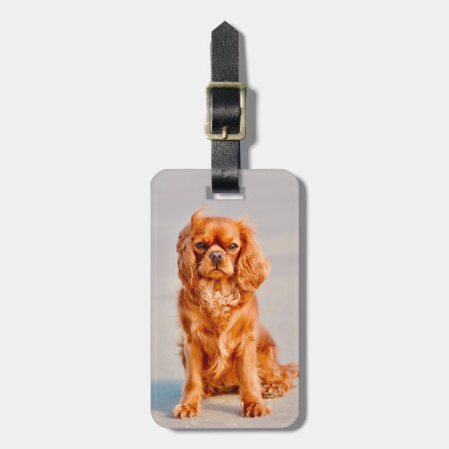 Ruby Cavalier King Charles Spaniel Dog Luggage Tag (Front Vertical)