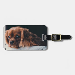 Ruby Cavalier King Charles Spaniel Dog Luggage Tag