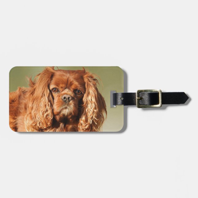 Ruby Cavalier King Charles Spaniel Dog Luggage Tag (Front Horizontal)