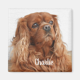Ruby Cavalier King Charles Spaniel Dog Magnet