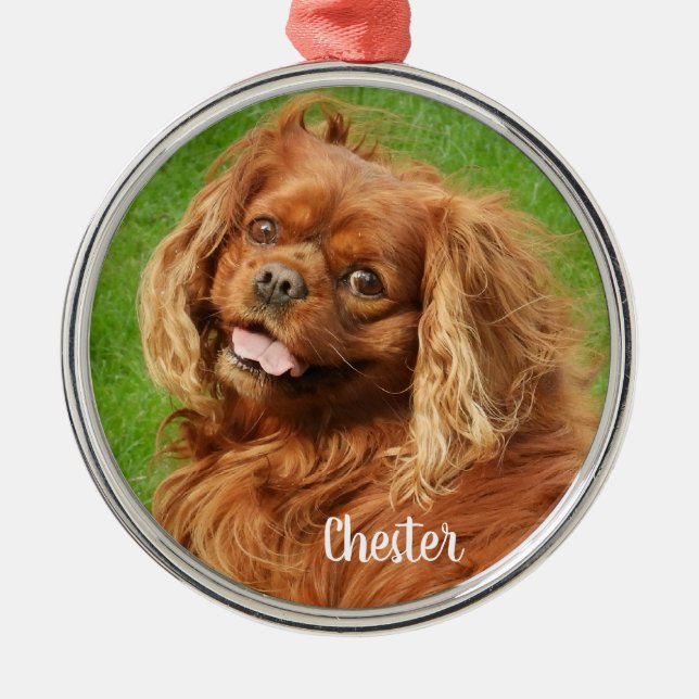 Ruby Cavalier King Charles Spaniel Dog Metal Tree Decoration (Front)