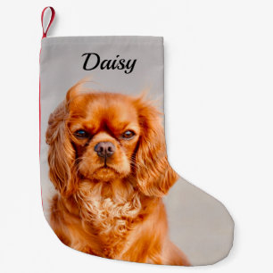 Ruby Cavalier King Charles Spaniel Dog Small Christmas Stocking