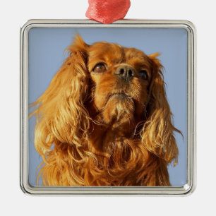 Ruby Cavalier King Charles Spaniel Puppy Dog Metal Tree Decoration