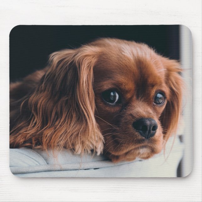 Ruby Cavalier King Charles Spaniel Puppy Dog Mouse Mat (Front)