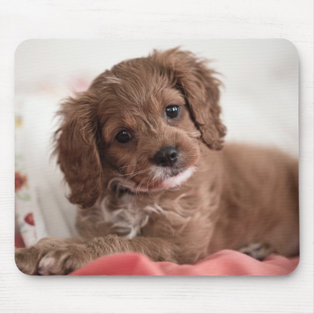 Ruby Cavapoo Puppy Dog Mouse Mat (Front)
