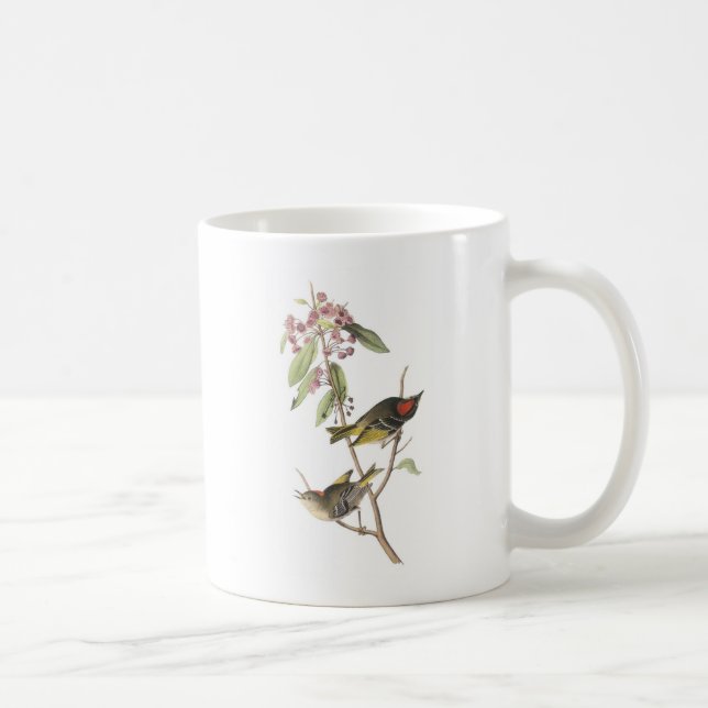 Ruby-crowned Kinglet by Audubon Coffee Mug (Right)