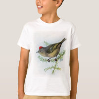 Ruby-crowned Kinglet