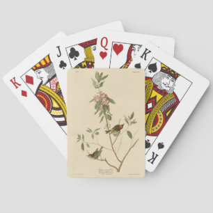 Ruby crowned Wren (Kinglet) Audubon Birds America Playing Cards