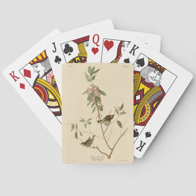 Ruby crowned Wren (Kinglet) Audubon Birds America Playing Cards (Back)