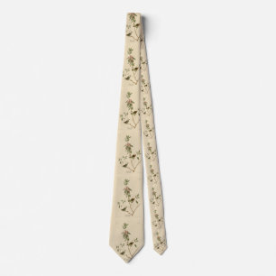 Ruby crowned Wren (Kinglet) Audubon Birds America Tie