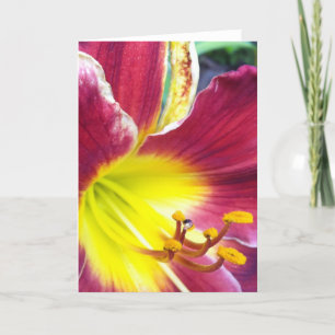 Ruby Day Lily Greeting Card