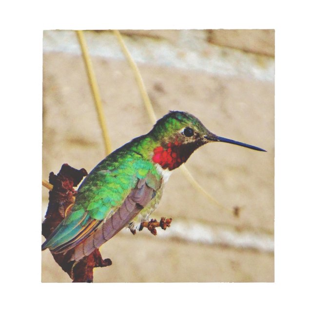 Ruby Green hummingbird Notepad (Front)