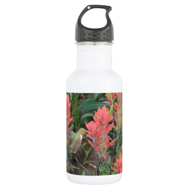 Ruby in Red Flowers Hummingbird 532 Ml Water Bottle (Front)