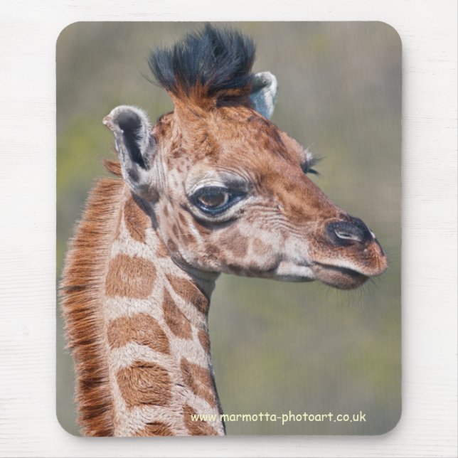 Ruby Mousemat (Front)
