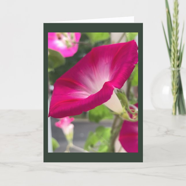 Ruby Red Morning Glory Blank  Card (Front)