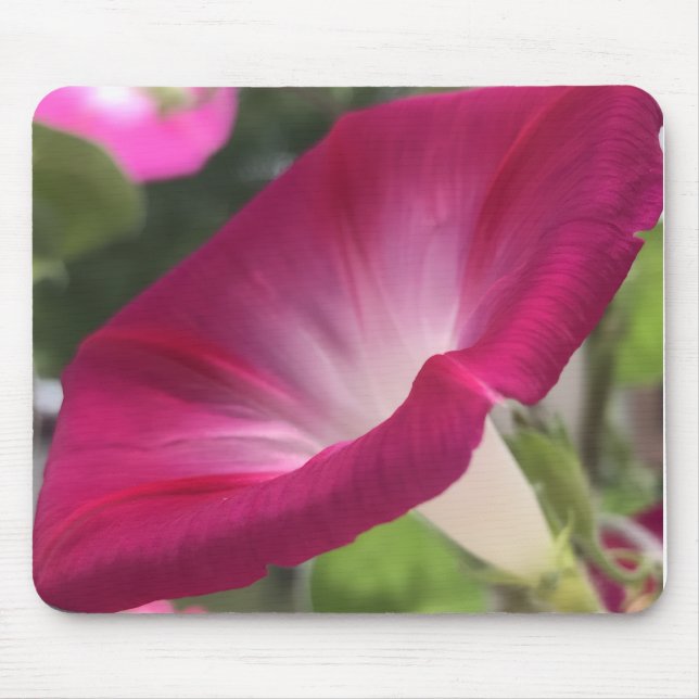 Ruby Red Morning Glory Close-up  Mouse Mat (Front)