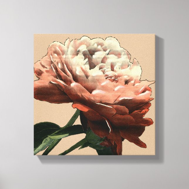 Ruby Red Rose with White Accents Canvas Print (Front)