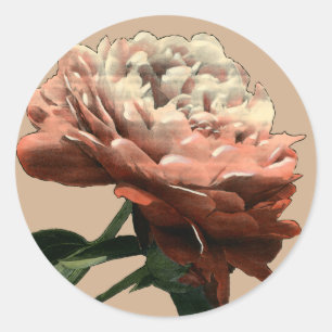 Ruby Red Rose with White Accents Classic Round Sticker