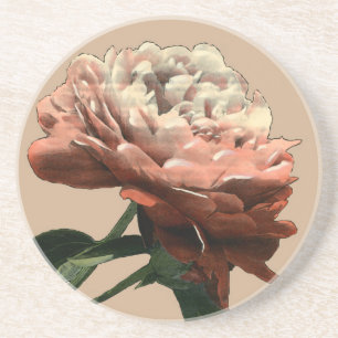 Ruby Red Rose with White Accents Coaster
