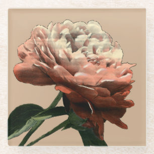 Ruby Red Rose with White Accents Glass Coaster