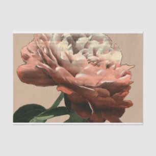 Ruby Red Rose with White Accents Tissue Paper