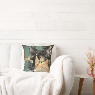 Ruby the Six year old Tortie and White Cushion