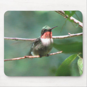 Ruby-throat Flutters Mousepad