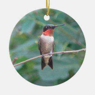 Ruby-throat Hummingbird Ceramic Tree Decoration