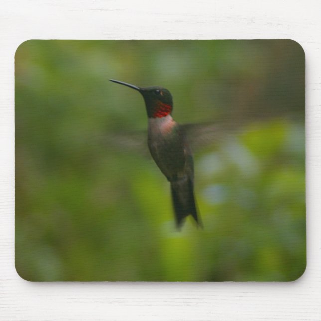 Ruby Throat Hummingbird Mouse Mat (Front)