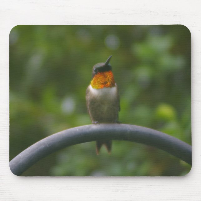 Ruby Throat Hummingbird Mouse Mat (Front)